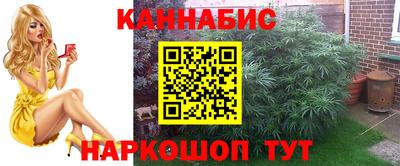 Альфа ПВП Шебекино