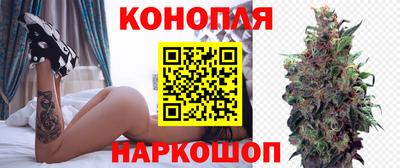 Альфа ПВП Шебекино