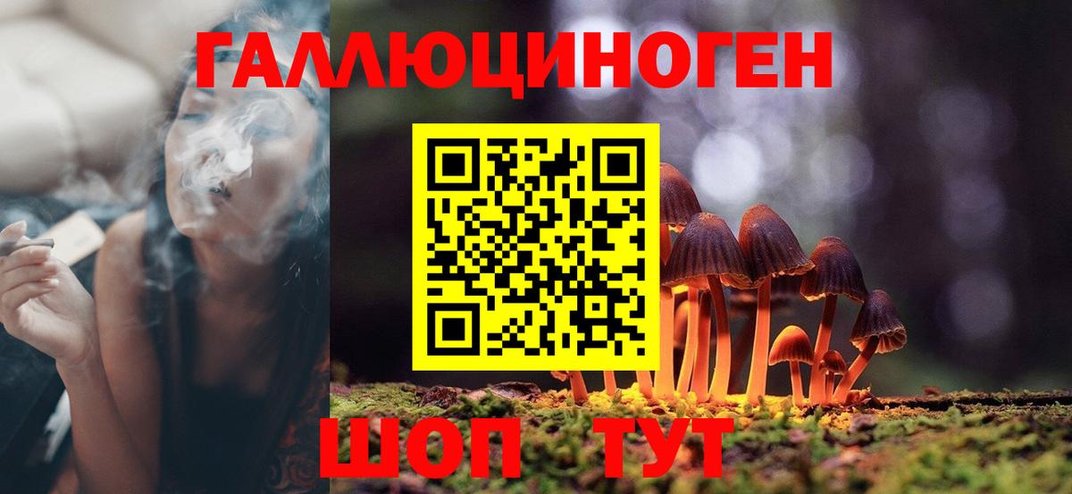 Псилоцибиновые грибы GOLDEN TEACHER Видное