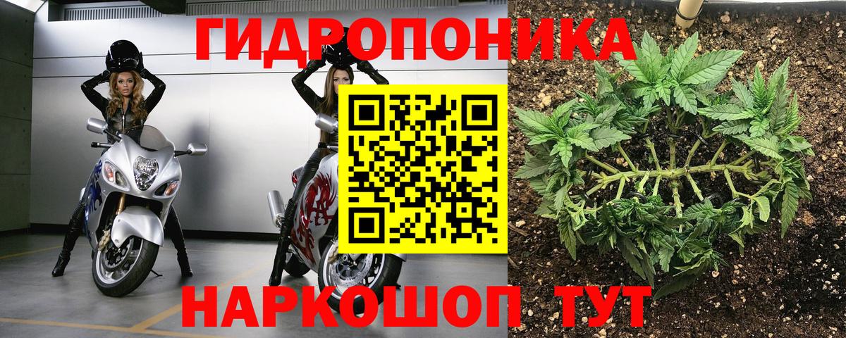 Каннабис план  Конопля LSD WEED  Видное  Марихуана VHQ  Вход с VPN  Конопля Amnesia 